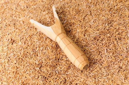 Wood slingshot catapult on husk backgroundの写真素材