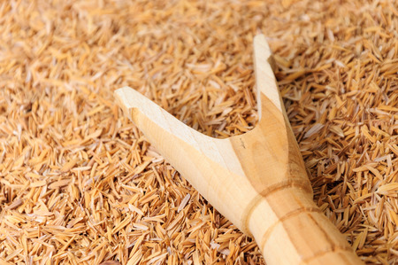 Wood slingshot catapult on husk backgroundの写真素材