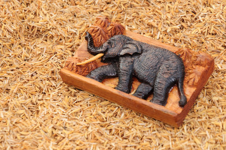 Wood handcraft on husk の写真素材