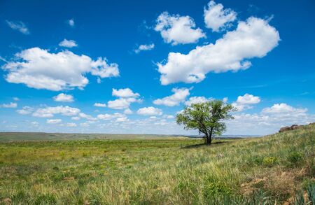 Scenery of natureの写真素材