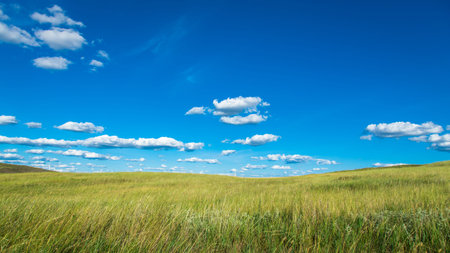 scenery of nature