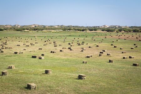 Haystacks on plain grass fieldの写真素材