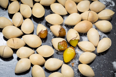 Roast Ginkgo