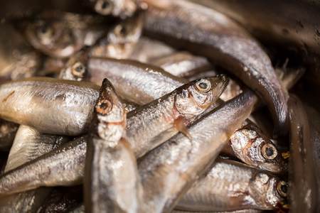 seafood capelin closeupの写真素材
