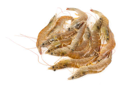Raw Prawns on White Backgroundの写真素材