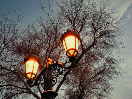 Cast iron decorative street lamp post glowing in darkの写真素材