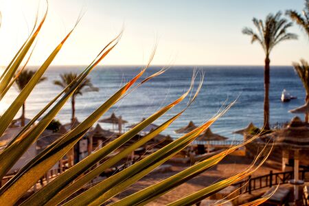 Parasols at Red Sea. Sharm El Sheikhの写真素材