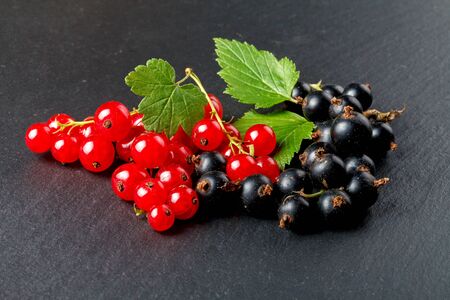 Black and red currant, close upの写真素材