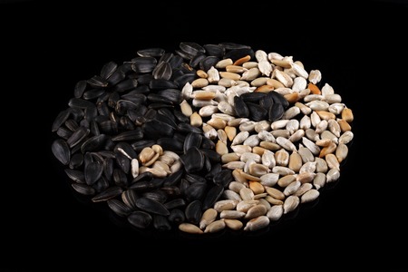 Sunflower seeds on a black background in the form of yin-yang. View from aboveの写真素材