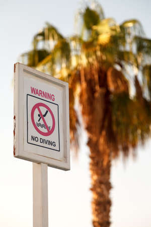 Information sign with the words no diving on the background of a palm treeの写真素材