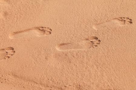 Footprint on the beach on a sunny day