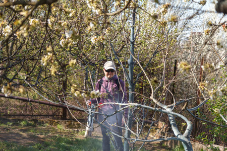 Woman in protective glasses, spraying fungicides on a flowering fruit tree against plant and pest...