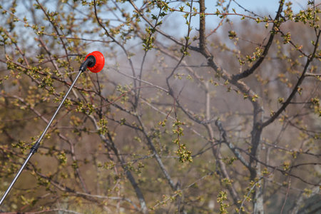 Prevention of diseases of fruit trees in early spring. Spraying by fungicides and insecticides of leaves and branches of trees in the garden.の写真素材