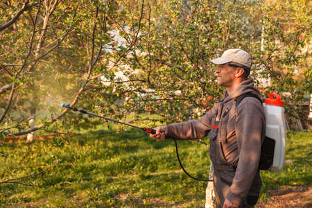 A man in protective glasses, spraying fungicides on a flowering fruit tree against plant diseases and pests. A rechargeable dispenser with pesticides in the garden is usedの写真素材