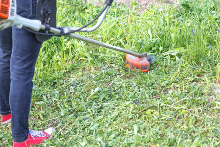 Woman farmer mows the grass in the backyard using string trimmer