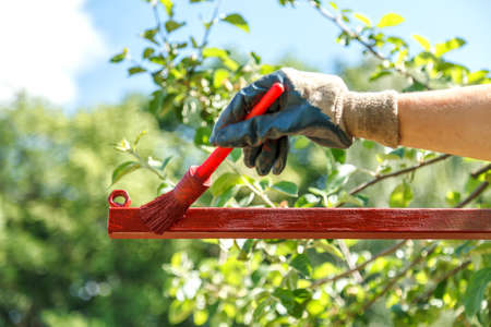 Metal construction for further use in the vineyard. The pipes are painted red with primer. Metal protection from moisture.の写真素材