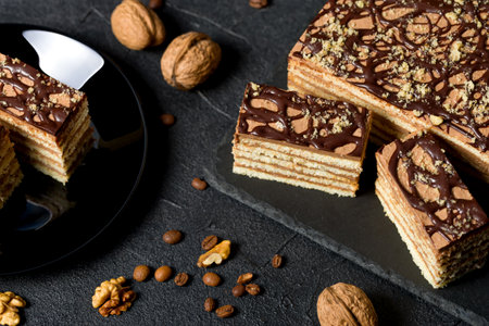 A piece of Dobosh cake. Hungarian sponge cake with chocolate butter cream and walnuts. Dark backgroundの写真素材