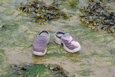 A pair of shoes left on the beach while the owner went for a paddle in the seaの写真素材