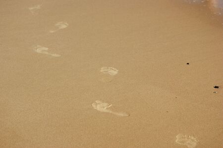 A trail of footprints left in the sandの写真素材
