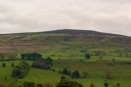 Hilly country landscape with green fields