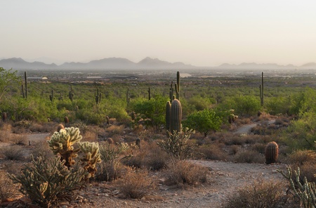 Desert View of Scottsdaleの写真素材