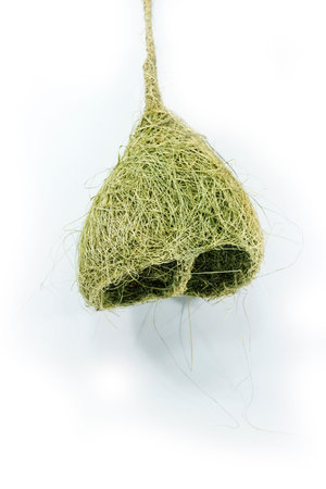 hanging bird's nest on white background