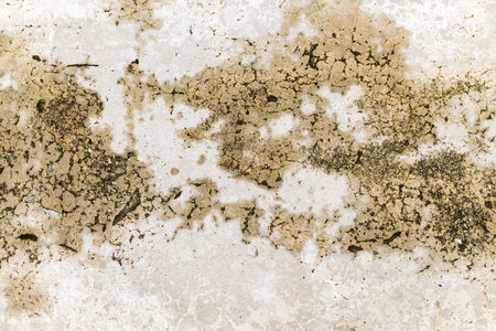 rough and cracked cement floor texture