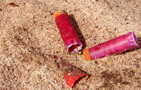 Shotgun shells in sand