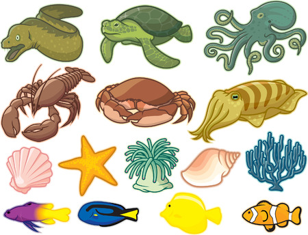 Sea Creaturesのイラスト素材