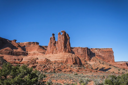 Three Gossipsの写真素材