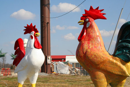 Large Ceramic Roostersの写真素材