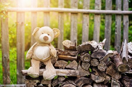 Teddy bear on the bench in the villageの写真素材