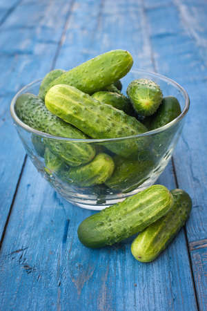 cucumbers in a plate on a blue wooden backgroundの写真素材