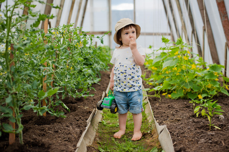 Child in the greenhouseの写真素材