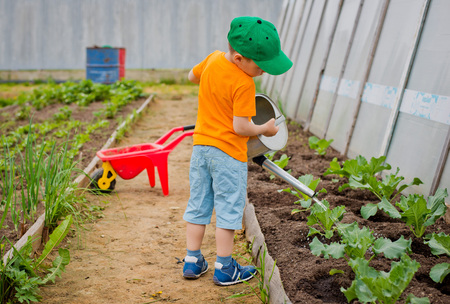 child watering the gardenの写真素材
