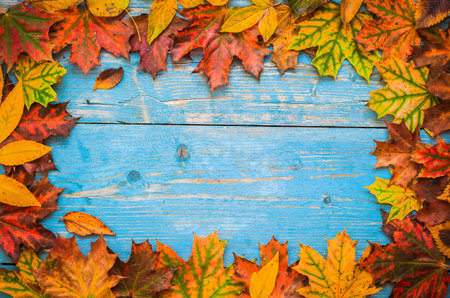 Autumn yellow leaves on old blue wooden background. Framing of leaves on the edges of the frame....