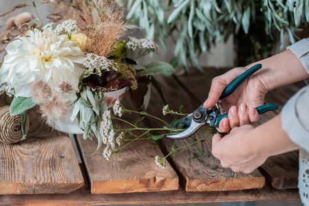 Female professional florist prepares the arrangement of wild flowers. Flower shop. Background concrete gray wall. Concept inspiration, floral, greetings, spring, ornament flowers.の写真素材
