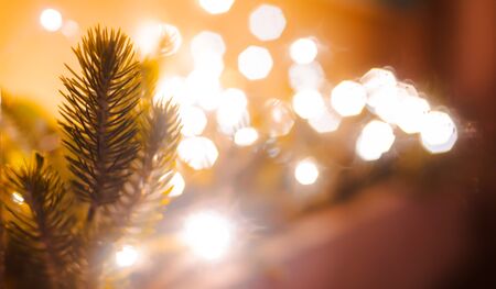 fur-tree branch with decorative lights bokeh defocused festive Christmas backgroundの写真素材