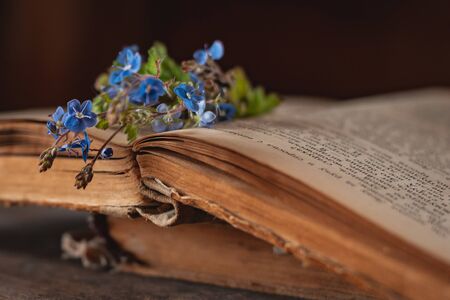 Mini bouquet of wild flowers in a decorative bucket on old books on the village window. The concept of summer mood and atmosphere of the background. Romantic, summer, rustic.の写真素材
