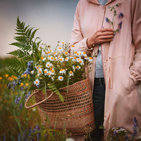 beautiful young girl in a field of flowers enjoys the aroma and view of field daisies. The concept of freedom, relaxation, nature, planet, summer, life, love.の写真素材