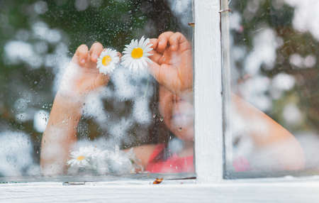 Raindrops on the glass of a village window, chamomile flowers eyes in childrens hands look at the rain. Happy childhood and holidays in the country. The background of the summer weather.の写真素材