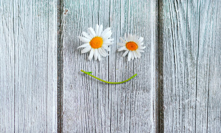 smiley face made with daisies