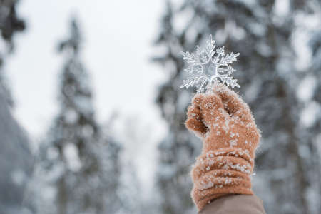 hand in mitten holding decorative transparent snowflake, winter forest natural background.の写真素材