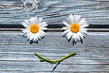 smiley face made of daisies on a white wooden background. Summer, spring, symbol, faceの写真素材