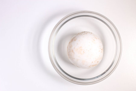 Food ingredient - mushroom
