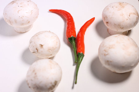 Food ingredients - chilies and mushroomsの写真素材