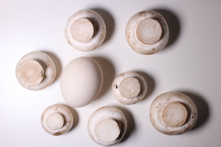 Food ingredients - egg and mushroomsの写真素材