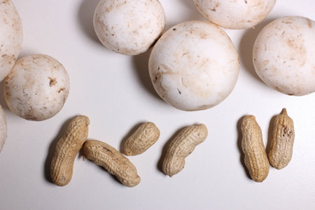 Food ingredients mushrooms peanutsの写真素材