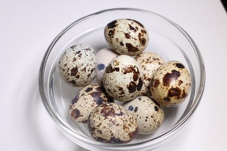 Food ingredients quail eggsの写真素材