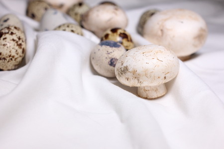 Food ingredients quail eggs mushrooms